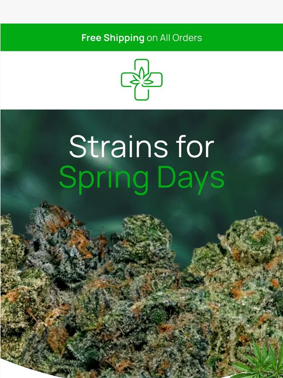 Your Spring Strain Guide