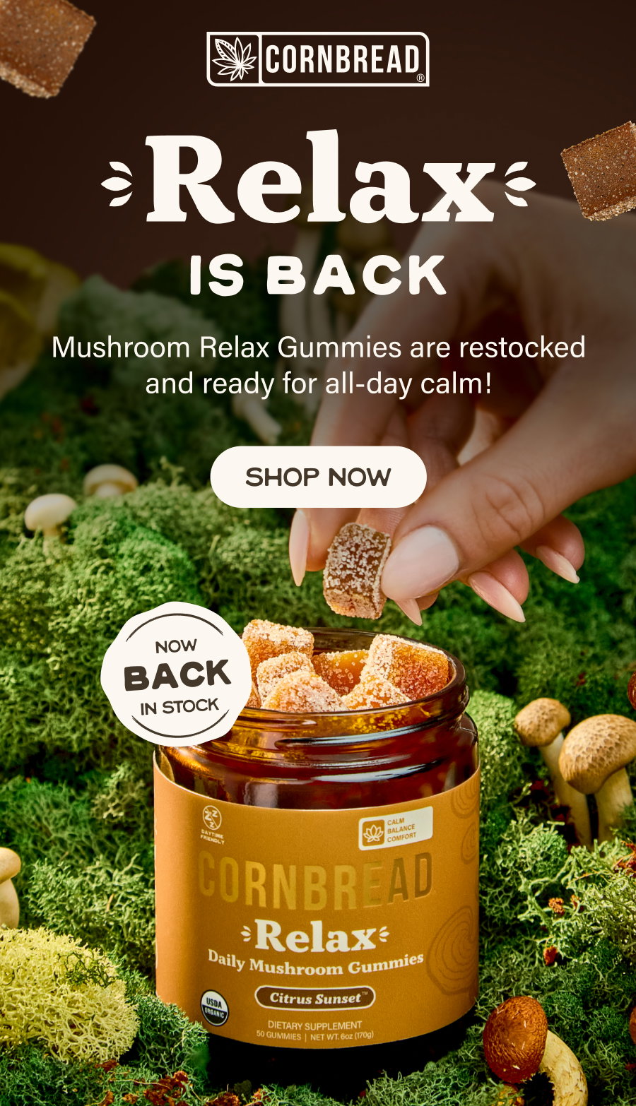 Mushroom Relax Gummies are back!