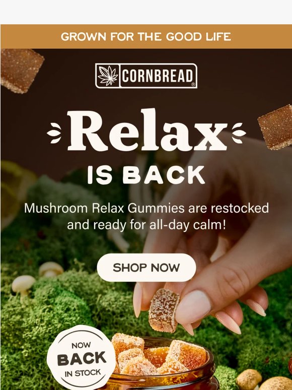 Mushroom Relax Gummies are back! 🍄