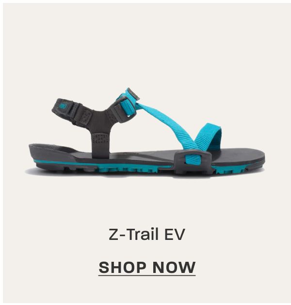 Z-Trail EV