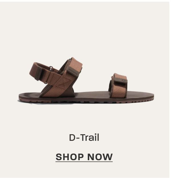 D-Trail