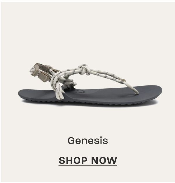 Genesis