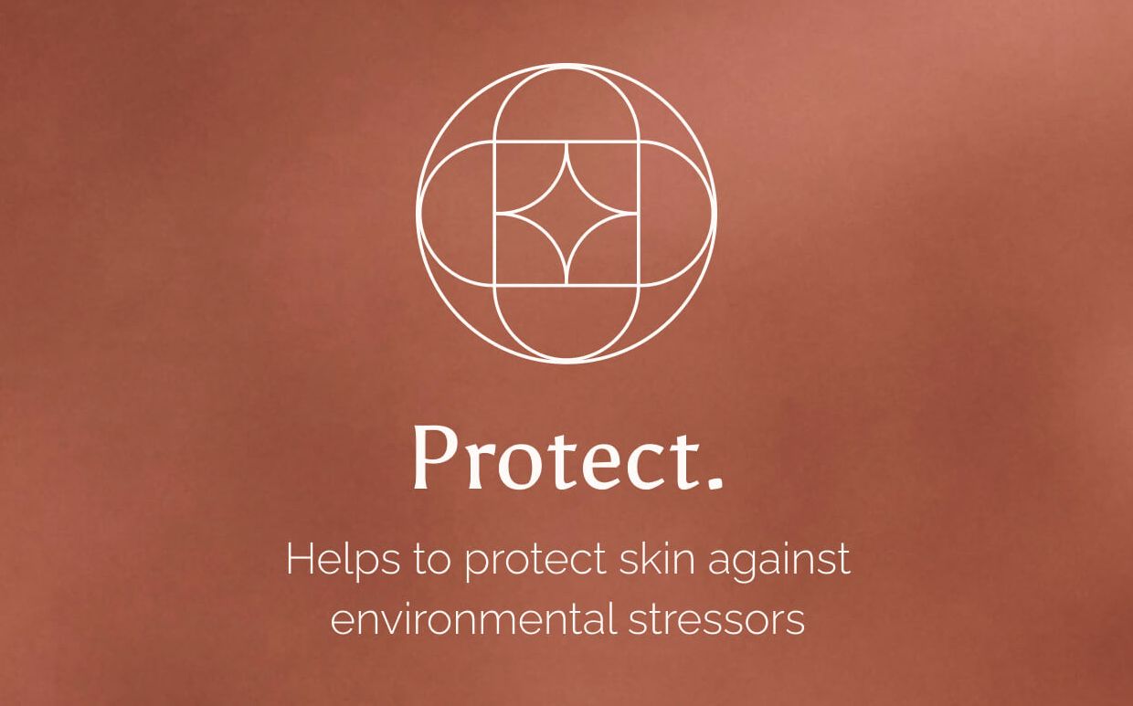 Protect Helps protect skin against environmental stressors