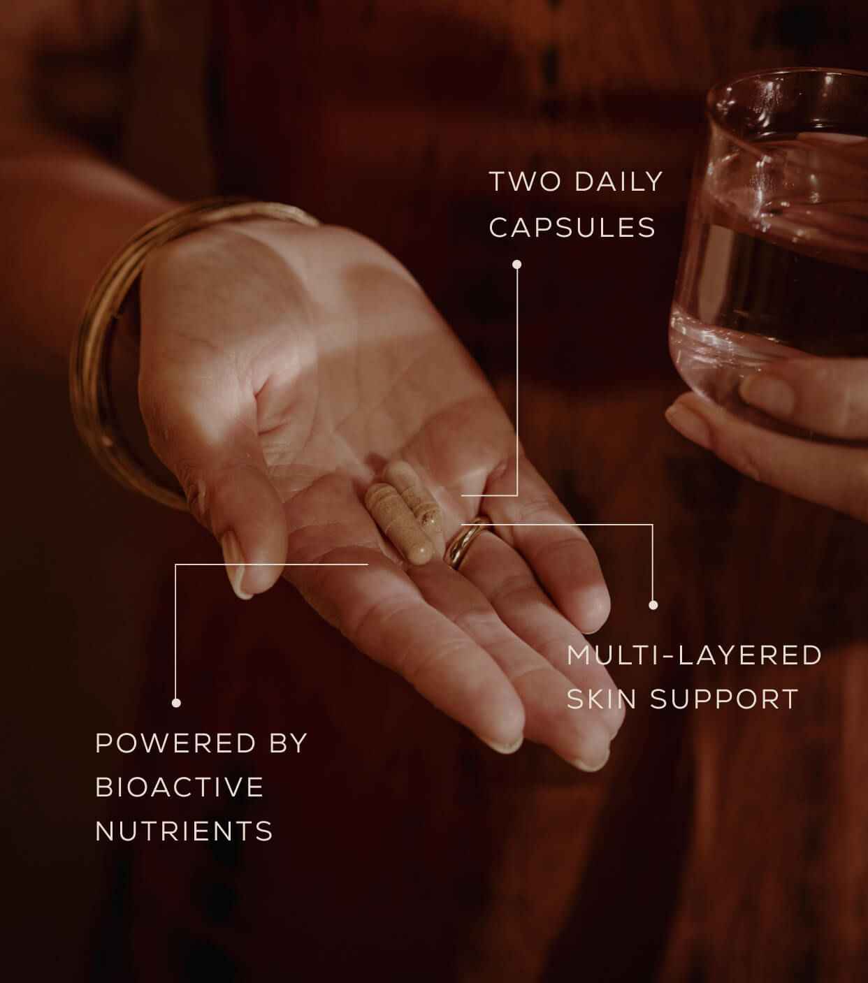 Annotated image of True Skin Alchemy capsules in a hand. "Two daily capsules. Powered by bioactive nutrients. Multi-layered skin support.