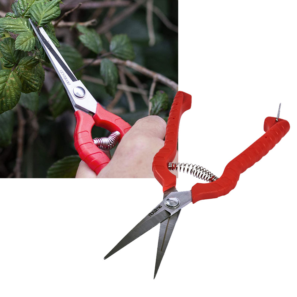 Amtech Precision Stainless Steel Secateur 8" 200mm Pruning Secateurs Shears Pruners - £5.29 delivered