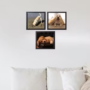 Kit 3 Quadros Pop
