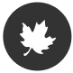 Sign up for Morning Update