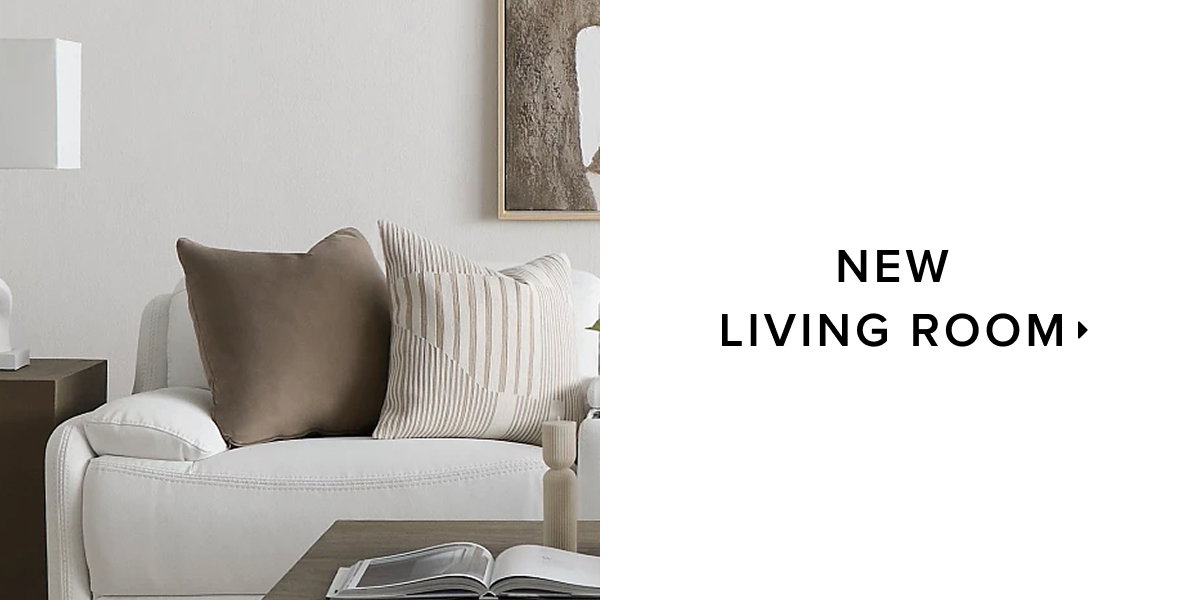 Shop For New Living Room.