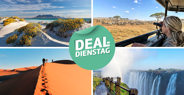 Bild-Collage: Von einem Strand Blick auf den Tafelberg, Frau mit Fernglas auf Safari, Wanderer auf den roten Dünen der Namib, Victoria Wasserfälle