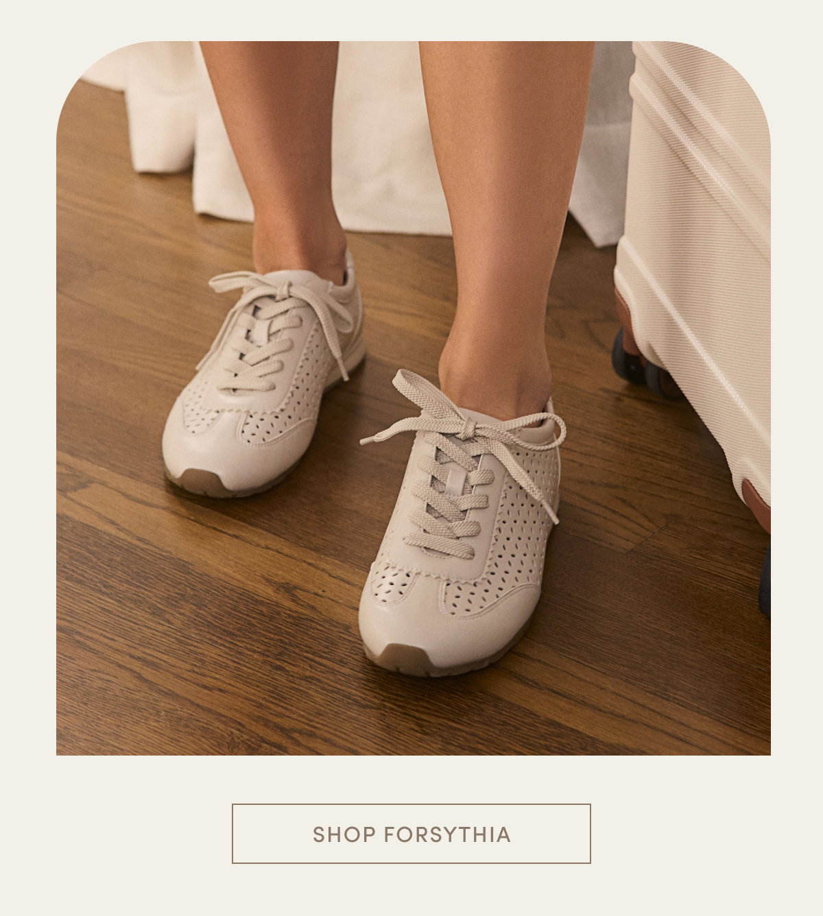 Shop Forsythia