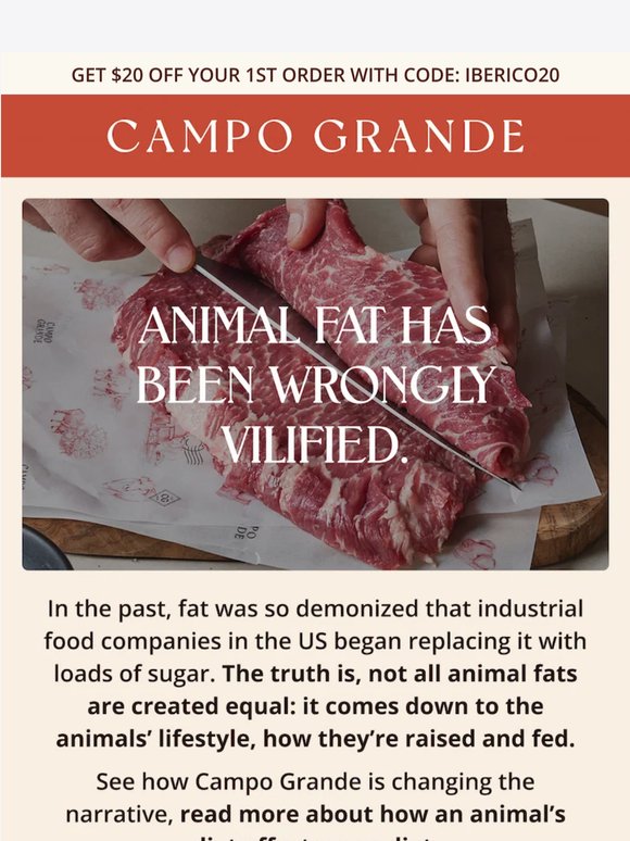 The truth about animal fats