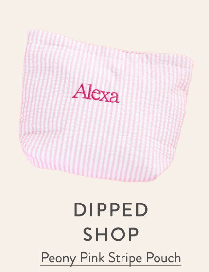Peony Pink Stripe Pouch 