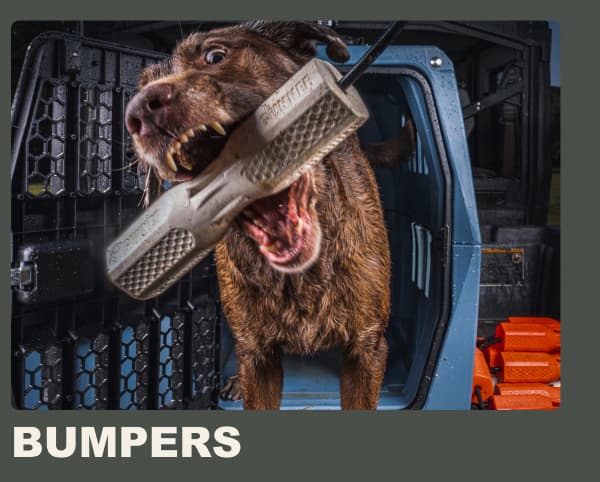 Bumpers