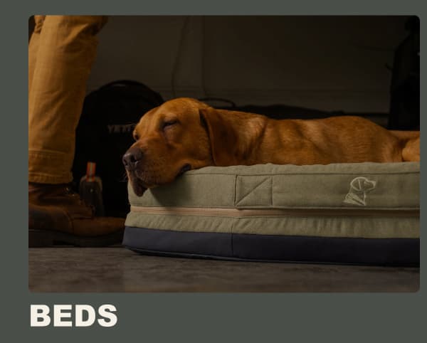 Beds