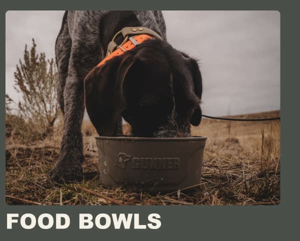 Food Bowls