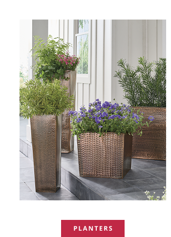 Shop Planters