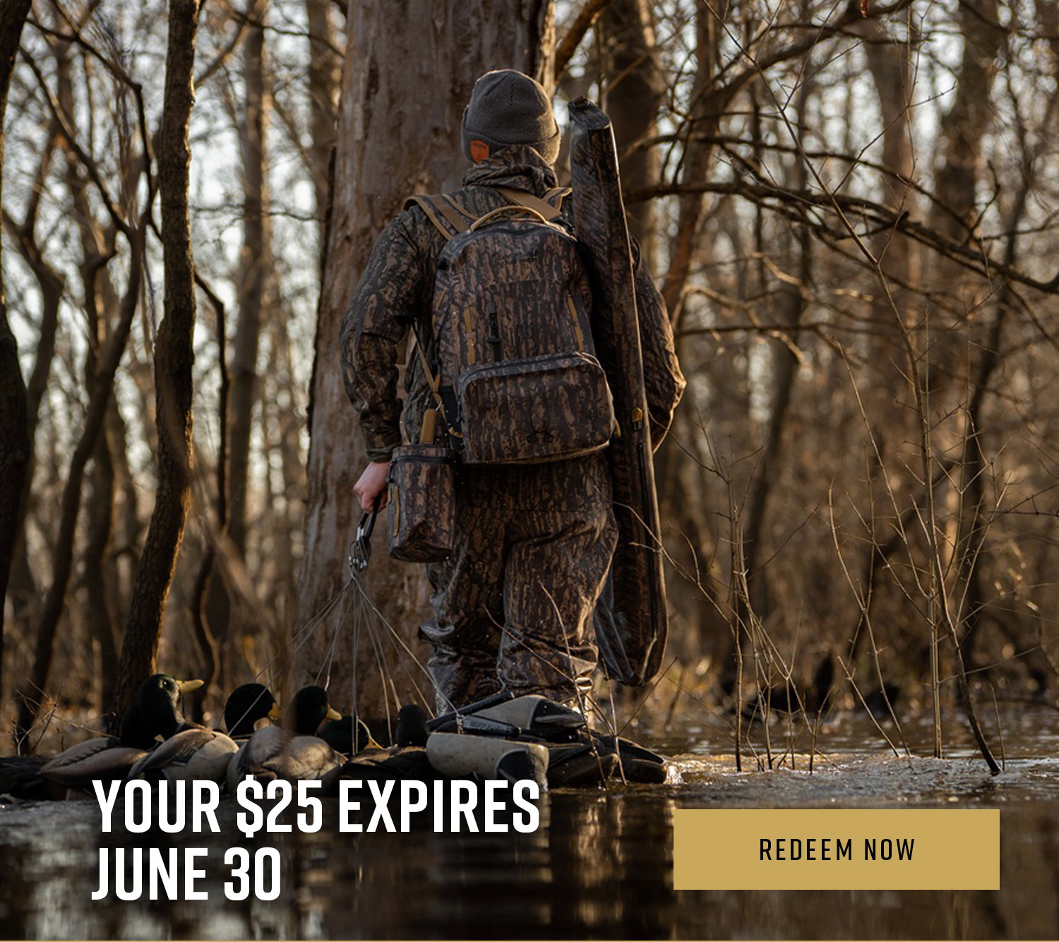 Your $25 Expires June 30 - Redeem Now