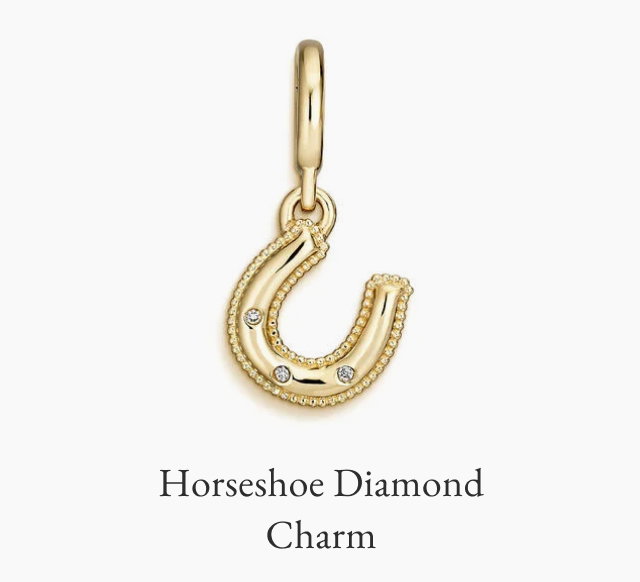 Horseshoe Diamond Charm