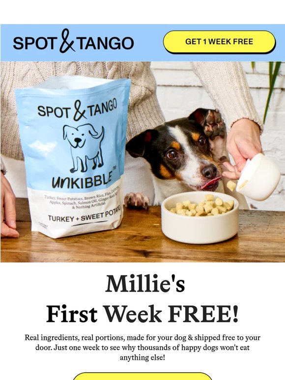 Millie's first week FREE 🐶✨