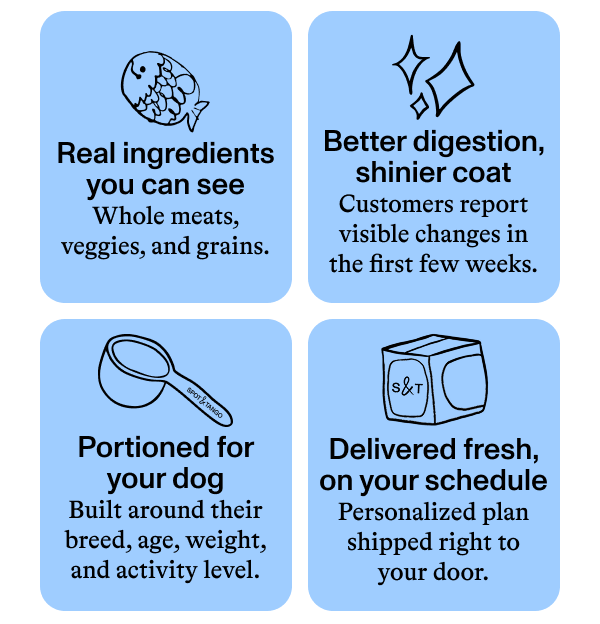 Real ingredients you can see, better digestion, portioned for your dog, delivered fresh - on your schedule. 