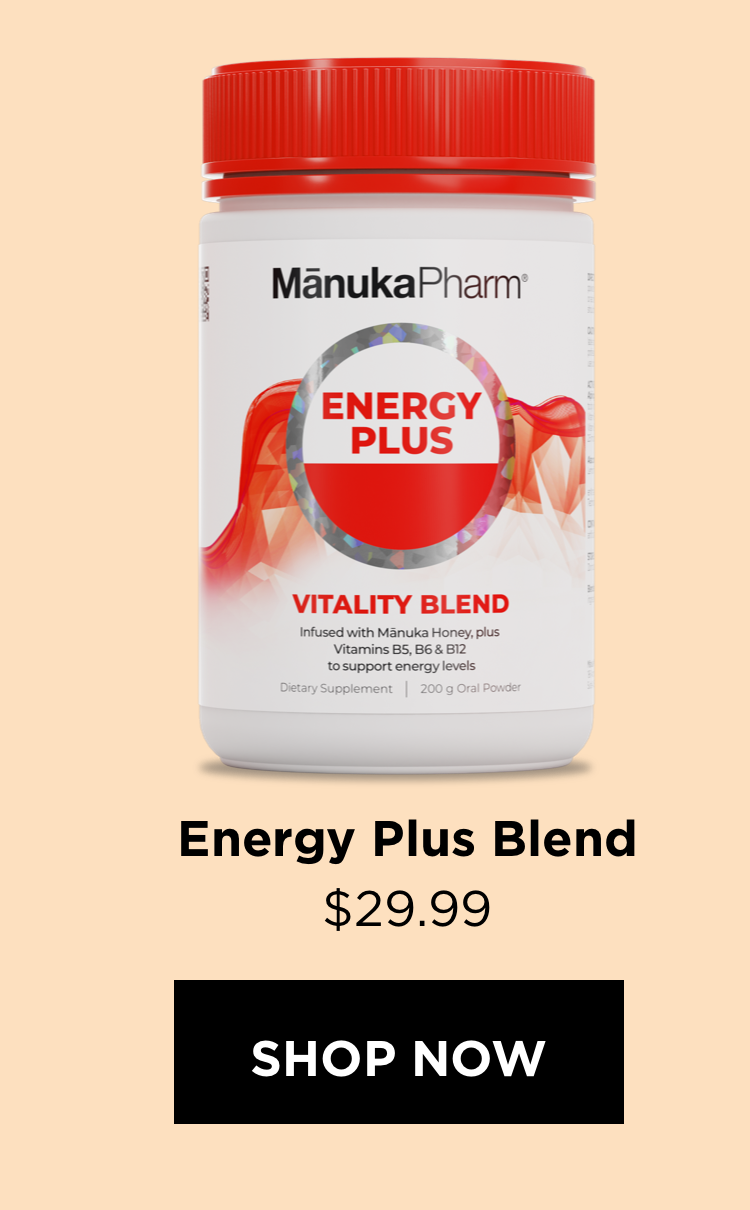 Energy Plus