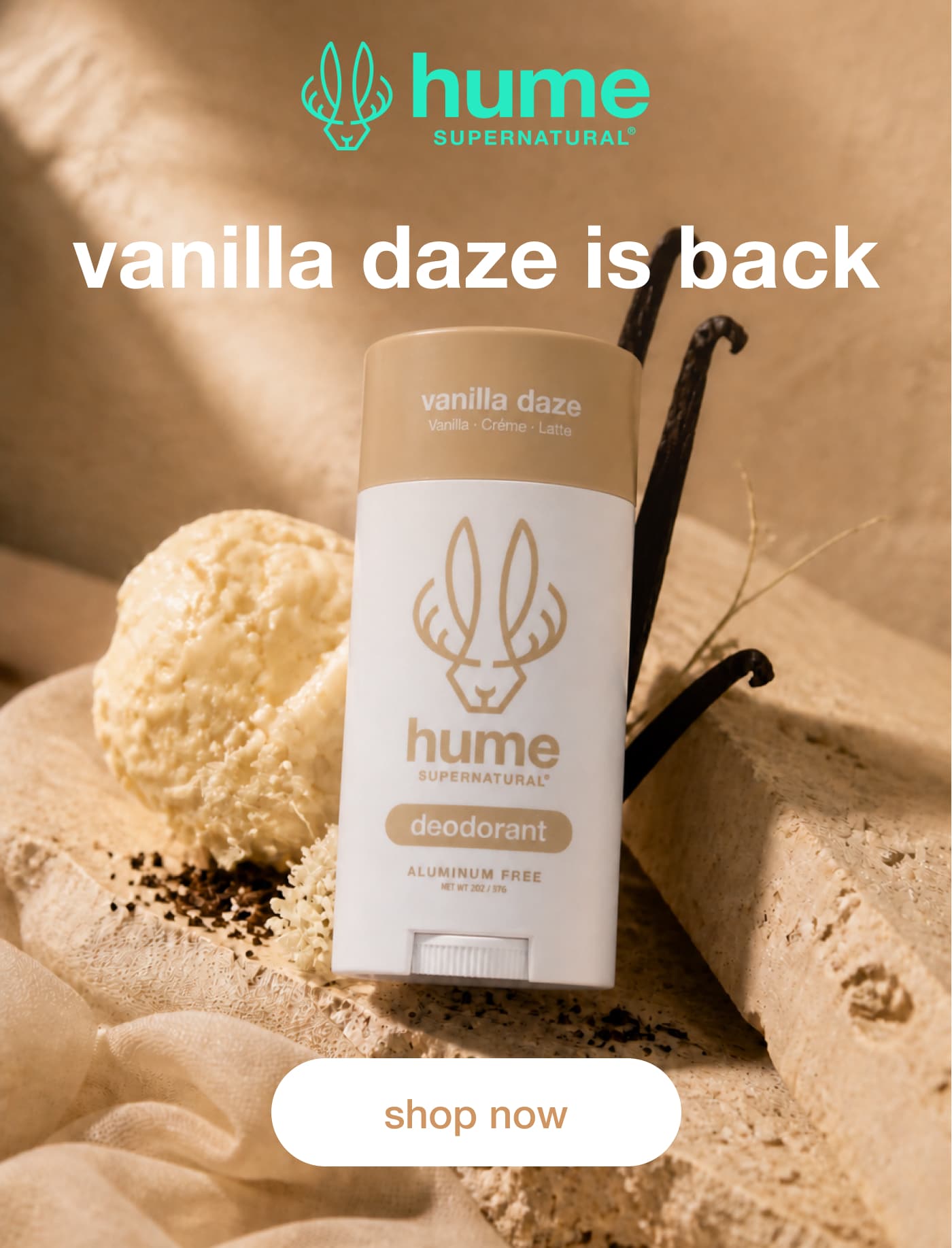 vanilla daze is back