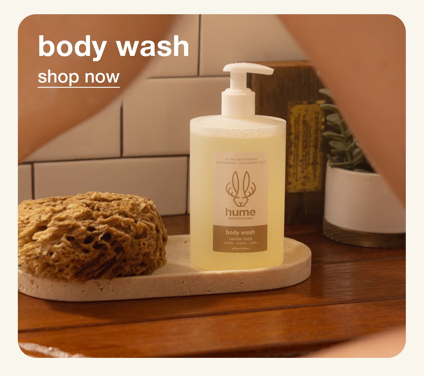 shop body wash