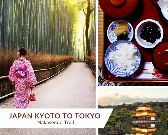 jpn-image-card-3