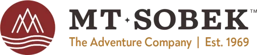 logo_mtsobek_v2020_horizontal_color-1