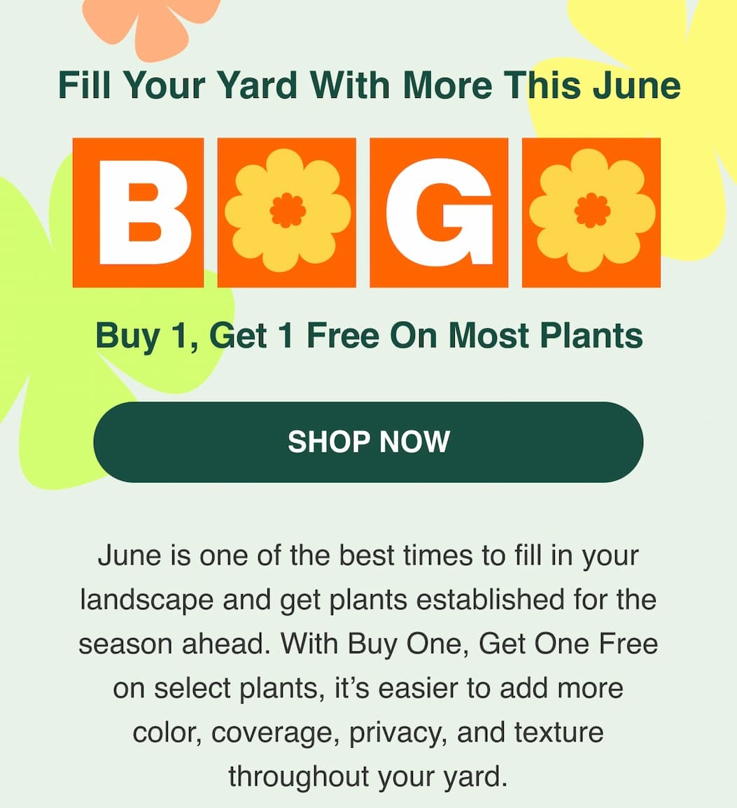 Buy 1, Get 1 Free on most items store-wide.
