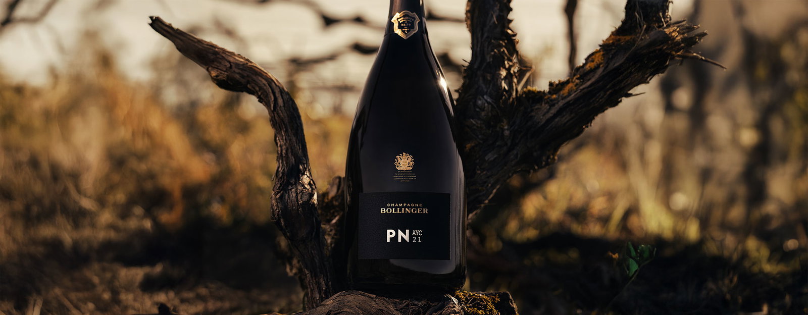 Pontet Canet
