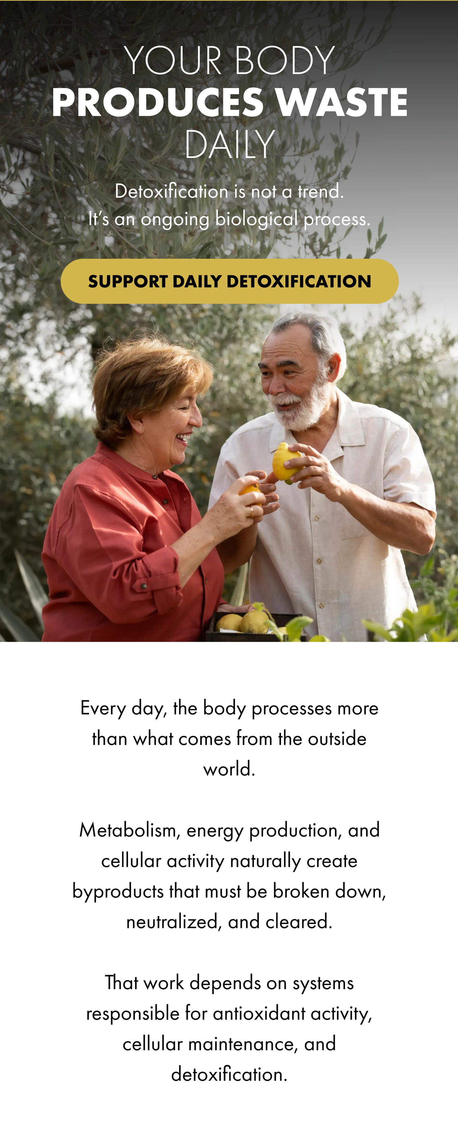 YOUR BODY PRODUCES WASTE DAILY Detoxification is not a trend. It’s an ongoing biological process. SUPPORT DAILY DETOXIFICATION Every day, the body processes more than what comes from the outside world.  Metabolism, energy production, and cellular activity naturally create byproducts that must be broken down, neutralized, and cleared.  That work depends on systems responsible for antioxidant activity, cellular maintenance, and detoxification.