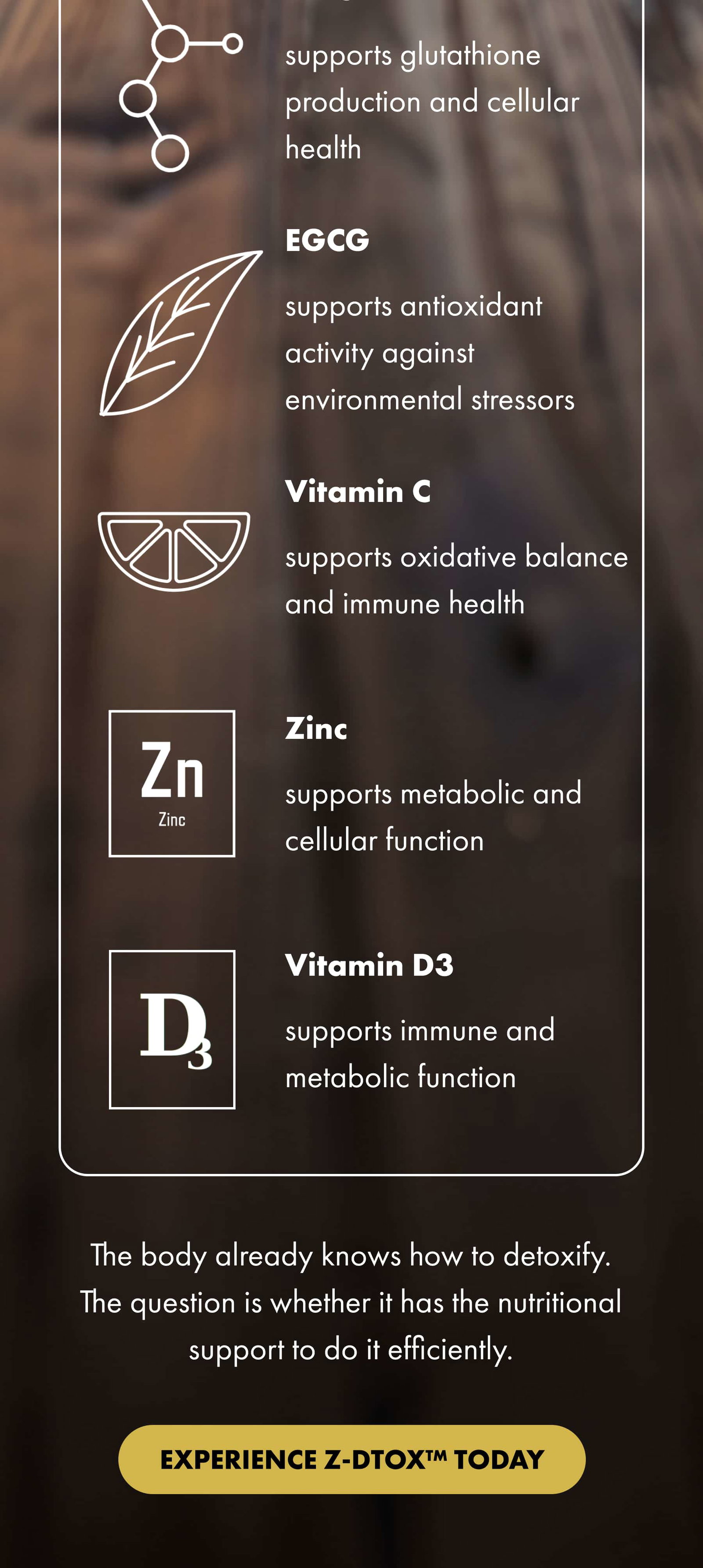 NAC supports glutathione production and cellular health EGCG supports antioxidant activity against environmental stressors Vitamin C supports oxidative balance and immune health Zinc supports metabolic and cellular function Vitamin D3 supports immune and metabolic function