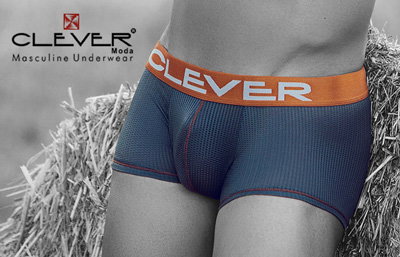 Clever bij Menwantmore
