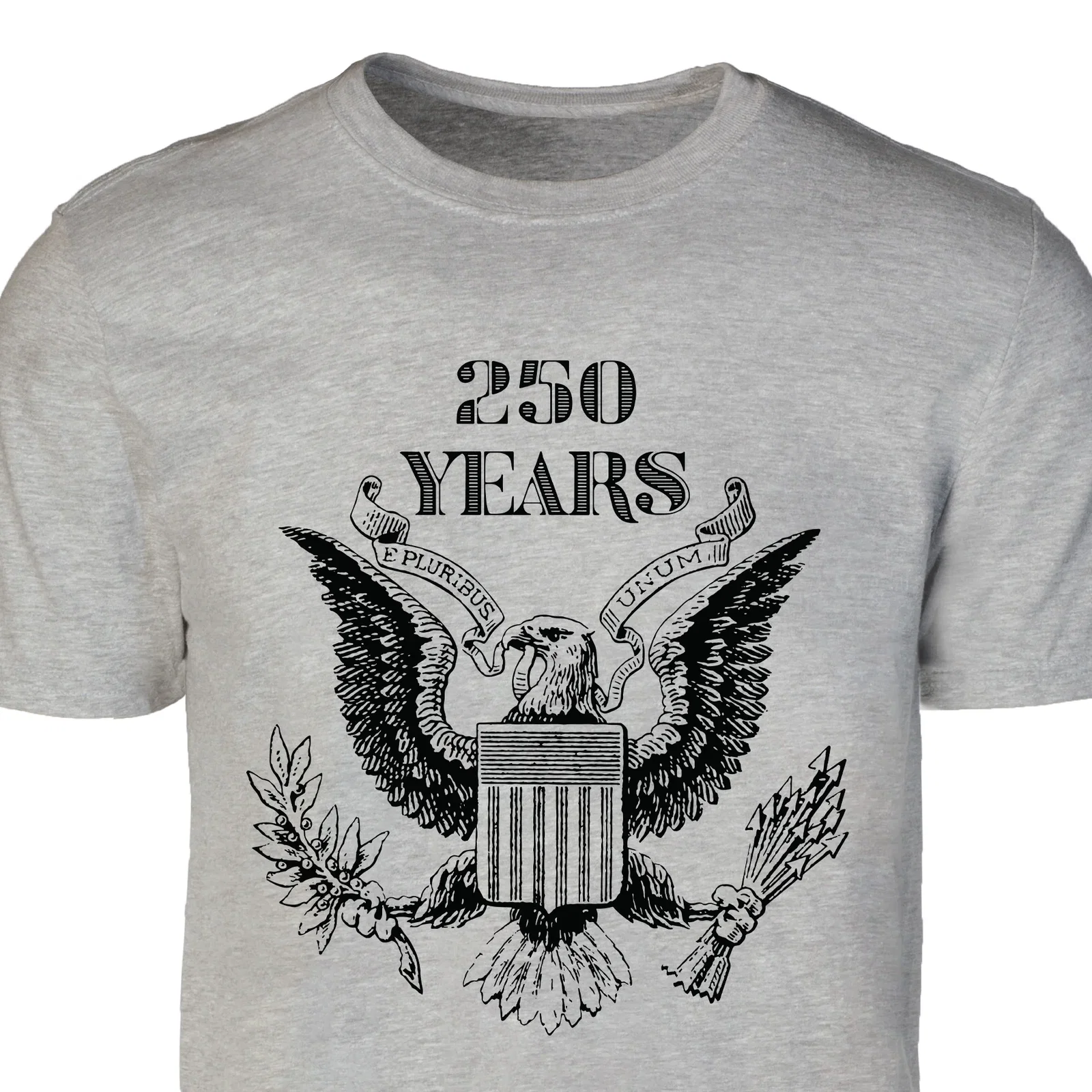 Image of Vintage Eagle 250 Years T-Shirt- Gray