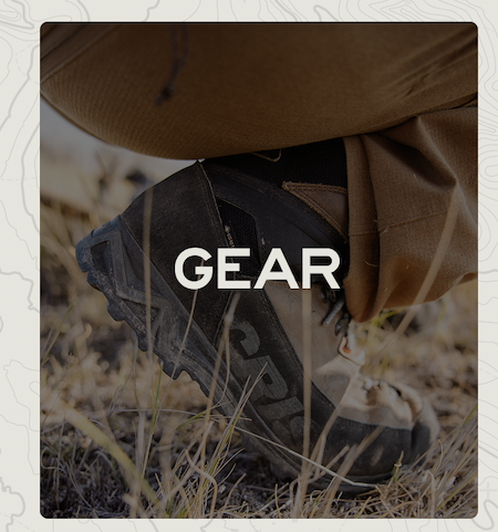 Gear