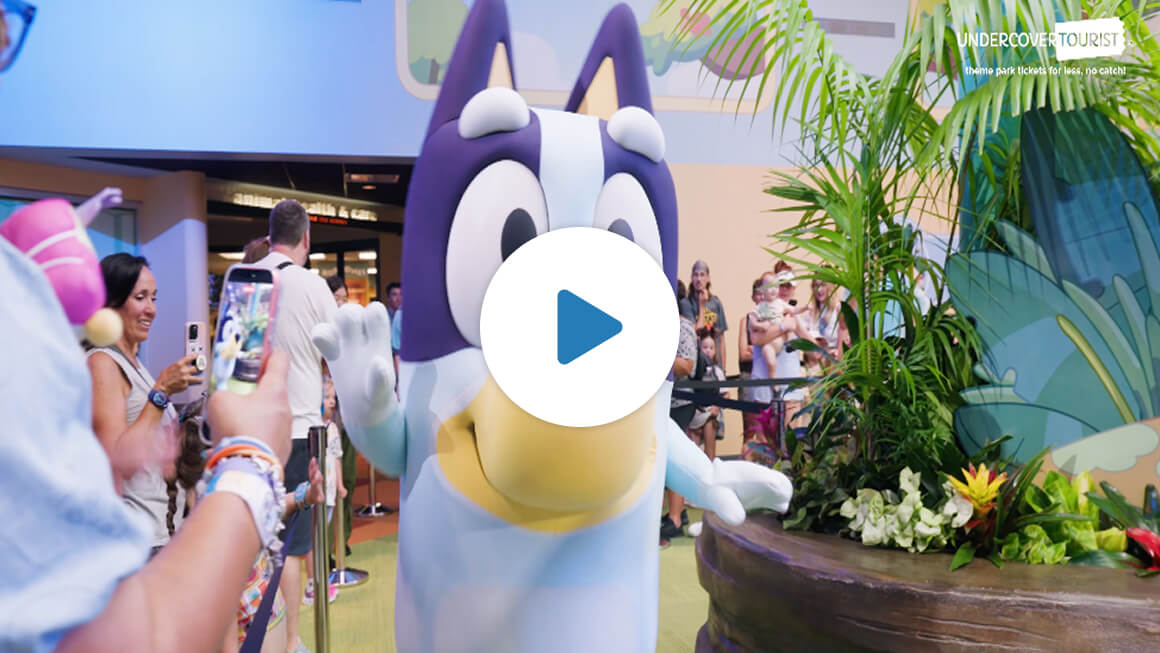 Bluey's Wild World at Conservation Station