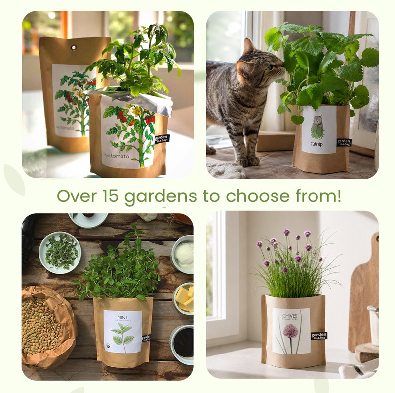 Over 15 gardens to choose from!