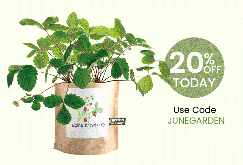 Use code JUNEGARDEN for 20% OFF - Garden in a Bag