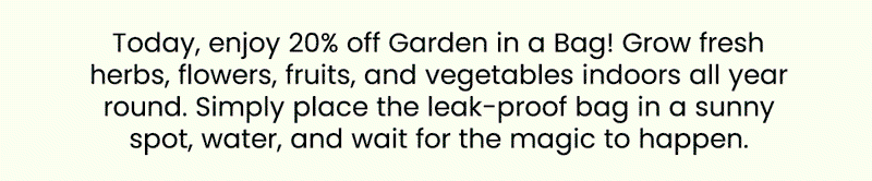 Start your indoor garden today!