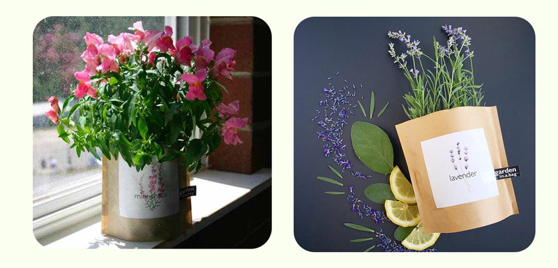 Grow fresh plants easily with our compact, indoor-friendly Garden in a Bag.