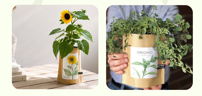 Choose from herbs, flowers, and veggie Garden in a Bag options