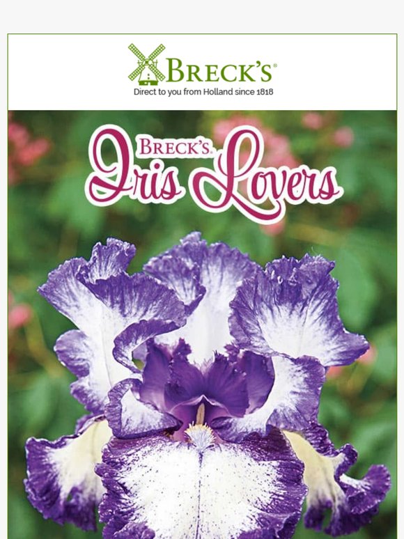 💜 Shop Our Iris Lovers Event and Save Up to 60%