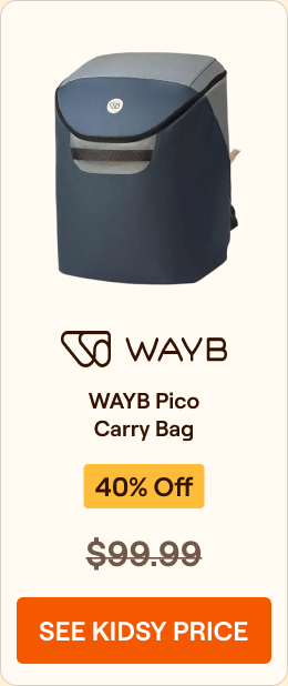 WAYB Pico Carry Bag (Lagoon) — 40% off retail $99.99 — see Kidsy price