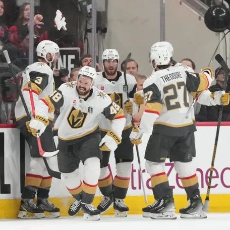 Vegas Golden Knights center Tomas Hertl (48) celebrates scoring during the third period against the Carolina Hurricanes.