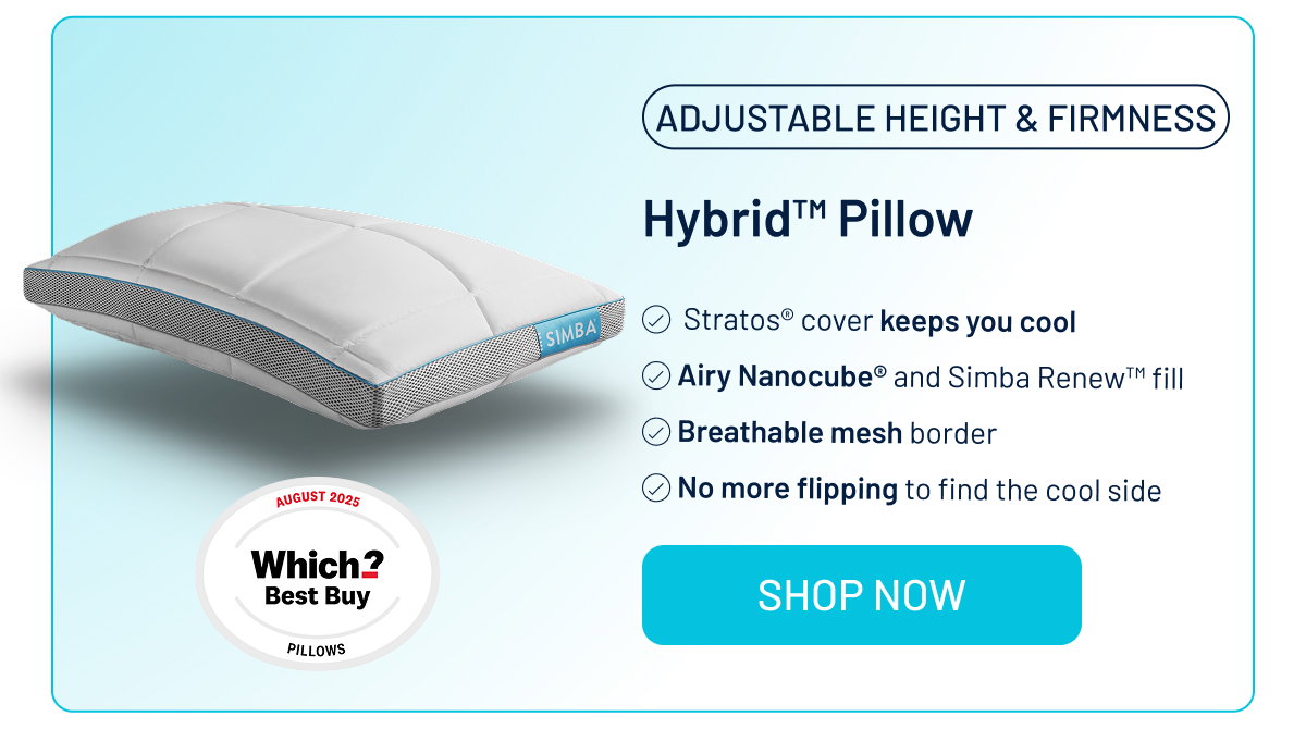 Hybrid Pillow