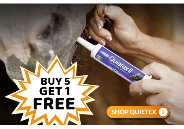 Quietex paste sale
