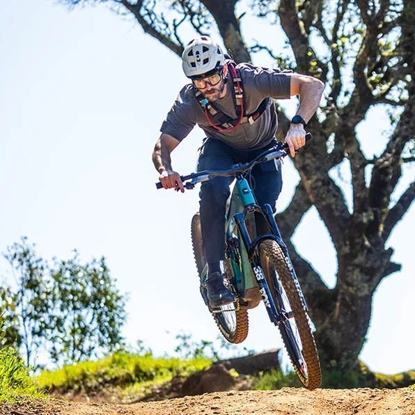 Santa Cruz Bullit 4