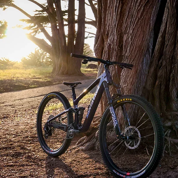 Santa Cruz 