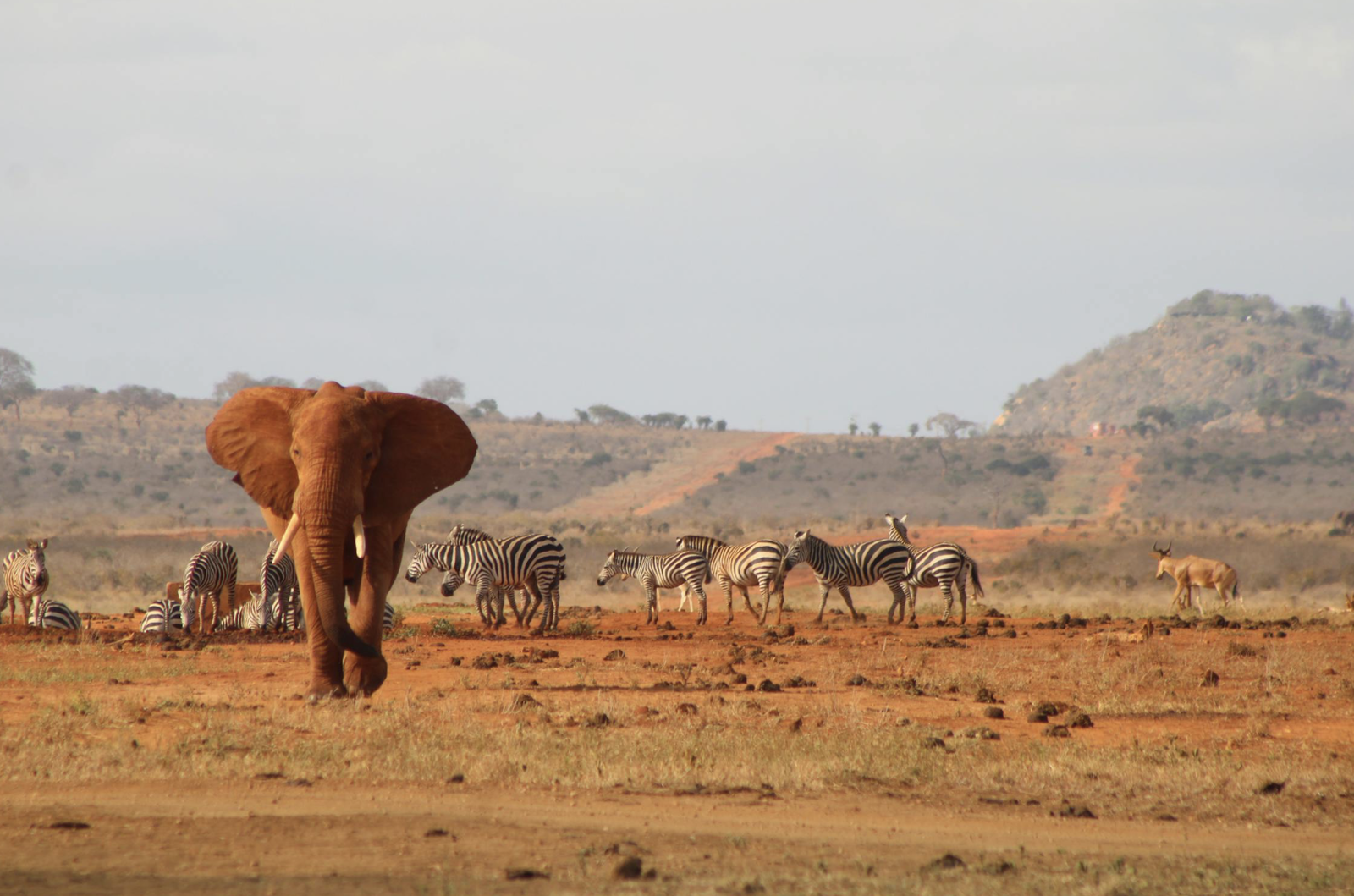 Kenia en verano: vuelos a Nairobi por 508 euros ida y vuelta